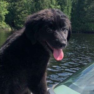 Meet your Posher, Katrina